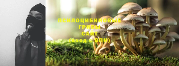 СК Алексеевка