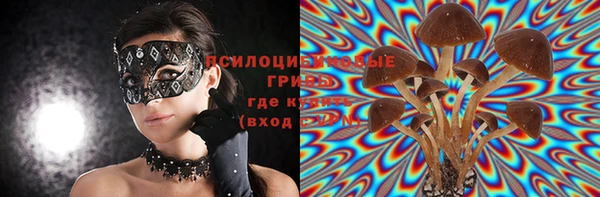 СК Алексеевка