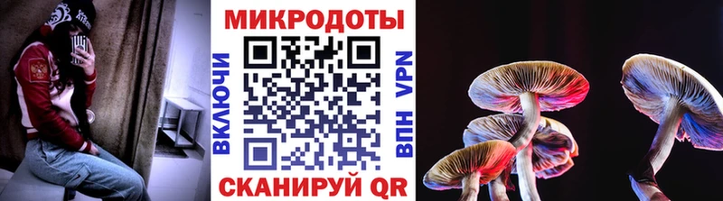 Галлюциногенные грибы Magic Shrooms  Николаевск 